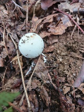 산들농장님의 자유주제 · 자유게시판 작성글 사진