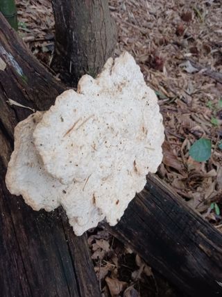 산들농장님의 자유주제 · 자유게시판 작성글 사진