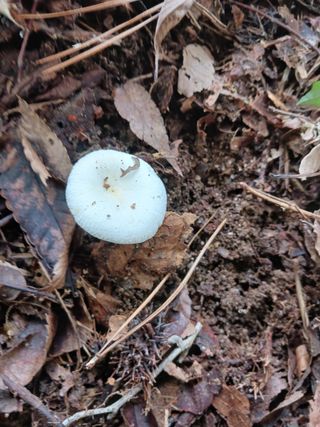 산들농장님의 자유주제 · 자유게시판 작성글 사진