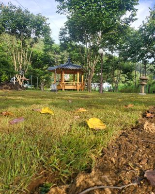 도울농장 이원용님의 ↑ 윷놀이 하고 추석덕담 하기 · 참여글 작성글 사진