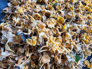 허미숙님의 ↑ 윷놀이 하고 추석덕담 하기 · 참여글 작성글 사진