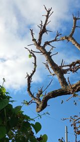 팜모닝 자유주제·자유게시판 게시글 이미지