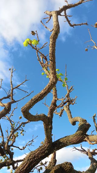 송월명님의 자유주제 · 자유게시판 작성글 사진