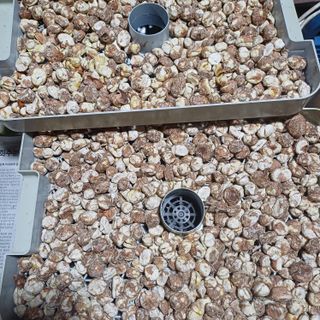 삼성농산님의 자유주제 · 자유게시판 작성글 사진