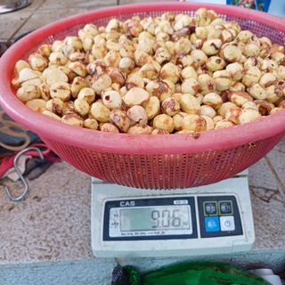 삼성농산님의 자유주제 · 자유게시판 작성글 사진