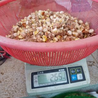 삼성농산님의 자유주제 · 자유게시판 작성글 사진