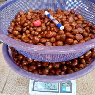 삼성농산님의 자유주제 · 자유게시판 작성글 사진