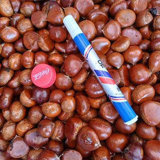 삼성농산님의 자유주제 · 자유게시판 작성글 사진