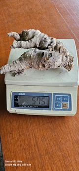 팜모닝 자유주제·자유게시판 게시글 이미지