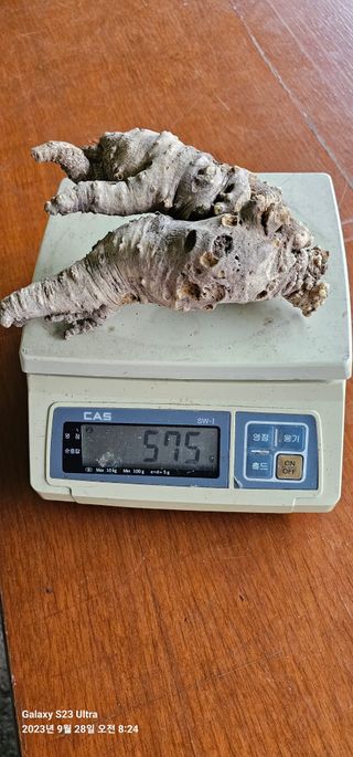 박희철님의 자유주제 · 자유게시판 작성글 사진