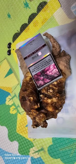 박희철님의 자유주제 · 자유게시판 작성글 사진