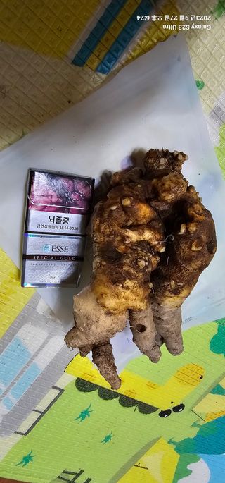 박희철님의 자유주제 · 자유게시판 작성글 사진