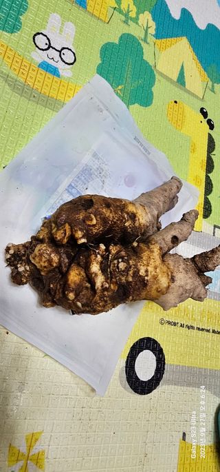 박희철님의 자유주제 · 자유게시판 작성글 사진