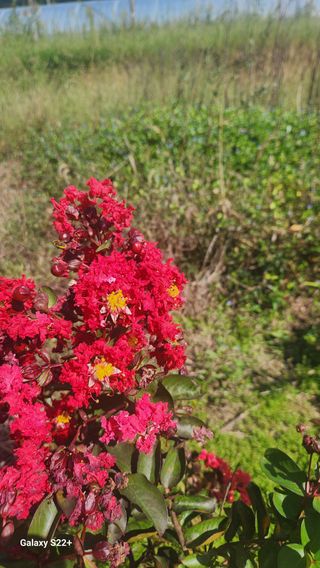 이재오님의 ↑ 윷놀이 하고 추석덕담 하기 · 참여글 작성글 사진