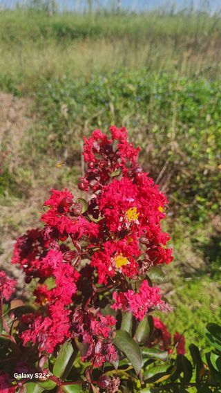 이재오님의 ↑ 윷놀이 하고 추석덕담 하기 · 참여글 작성글 사진