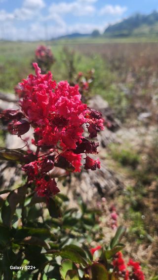 이재오님의 ↑ 윷놀이 하고 추석덕담 하기 · 참여글 작성글 사진