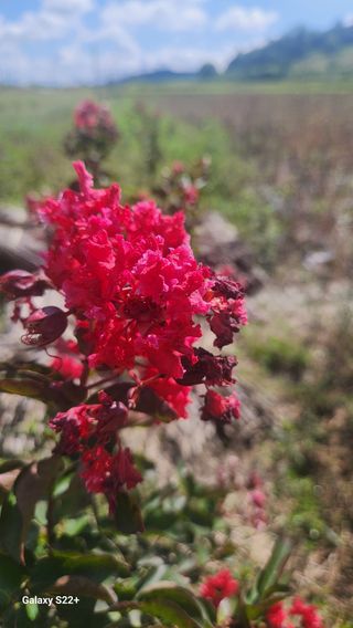 이재오님의 ↑ 윷놀이 하고 추석덕담 하기 · 참여글 작성글 사진