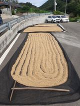 팜모닝 벼·영농일지 게시글 이미지