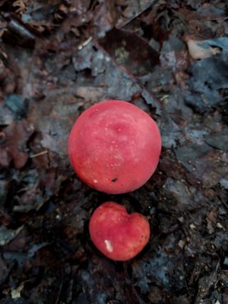 배추21924님의 자유주제 · 자유게시판 작성글 사진