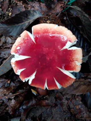 배추21924님의 자유주제 · 자유게시판 작성글 사진