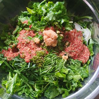 이소영님의 양배추 · 영농일지 작성글 사진