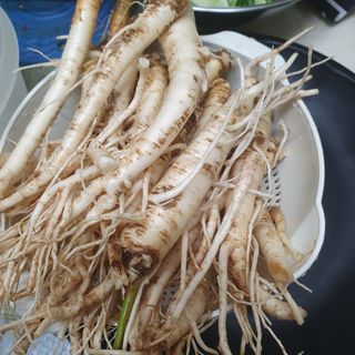 이소영님의 양배추 · 영농일지 작성글 사진