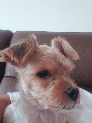 경기도님의 ↑ 윷놀이 하고 추석덕담 하기 · 참여글 작성글 사진