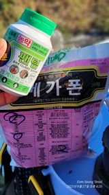 팜모닝 배추·영농일지 게시글 이미지