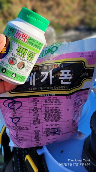 엄성열님의 배추 · 영농일지 작성글 사진