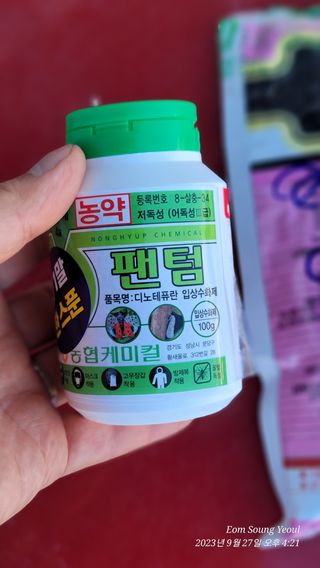 엄성열님의 배추 · 영농일지 작성글 사진