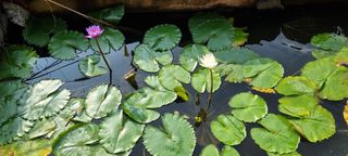 달방구님의 자유주제 · 자유게시판 작성글 사진