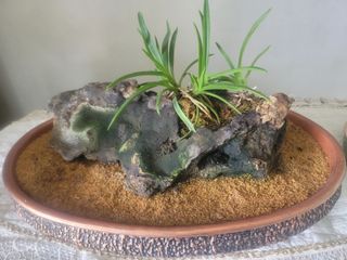 장효기님의 ↑ 윷놀이 하고 추석덕담 하기 · 참여글 작성글 사진