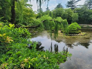 장효기님의 ↑ 윷놀이 하고 추석덕담 하기 · 참여글 작성글 사진