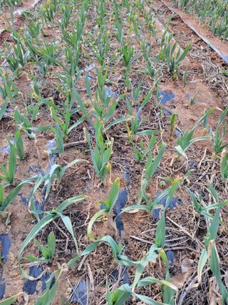 박정희 님의 작성글 사진