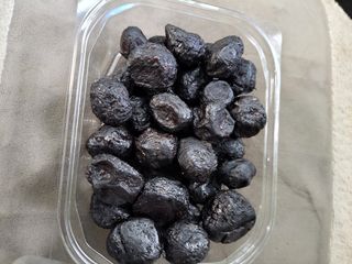 박정희 님의 작성글 사진