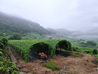 이병구님의 작성글 사진