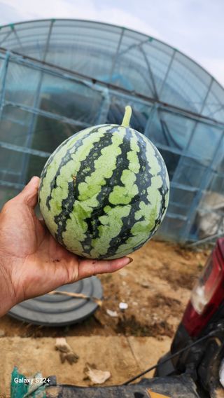 이재오님의 ↑ 윷놀이 하고 추석덕담 하기 · 참여글 작성글 사진