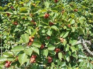 장만형님의 작성글 사진