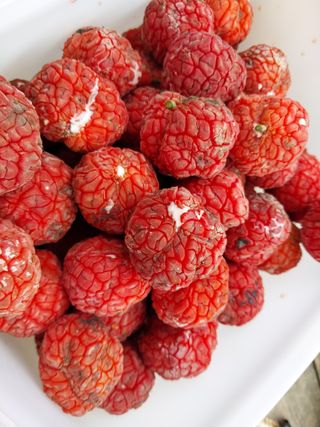 금동이네님의 기타작물 · 자유게시판 작성글 사진