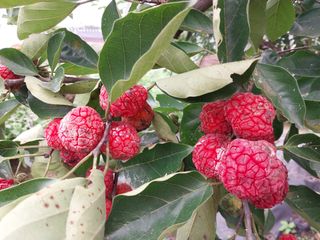 금동이네님의 기타작물 · 자유게시판 작성글 사진