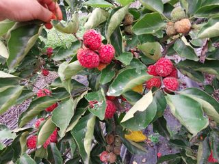 금동이네님의 기타작물 · 자유게시판 작성글 사진