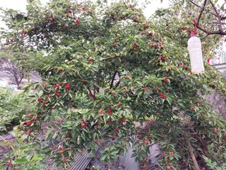 금동이네님의 기타작물 · 자유게시판 작성글 사진