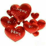 팜모닝 배추·일상 게시글 이미지