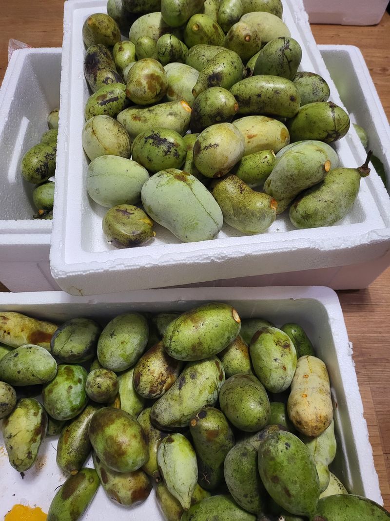 장금이1님의 장터 판매 상품 [포포열매말랭이 300g  39.000] 첨부 사진