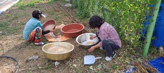 사천시향촌동 돼지띠님의 벼 · 자유게시판 작성글 사진