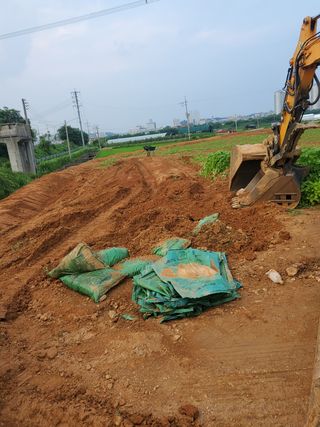 풀향기꽂향기님의 매실 · 자유게시판 작성글 사진