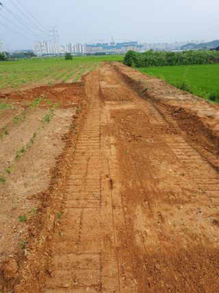 풀향기꽂향기님의 매실 · 자유게시판 작성글 사진