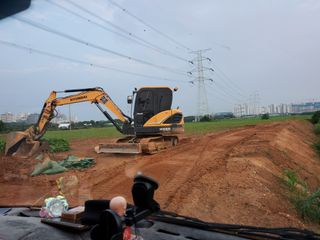 풀향기꽂향기님의 매실 · 자유게시판 작성글 사진