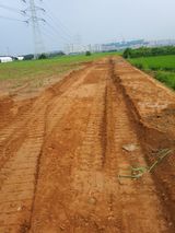 팜모닝 매실·자유게시판 게시글 이미지