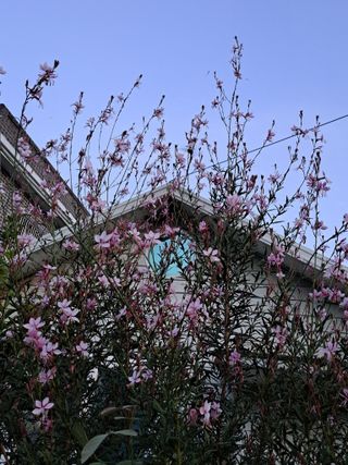 콩18930님의 ↑ 윷놀이 하고 추석덕담 하기 · 참여글 작성글 사진